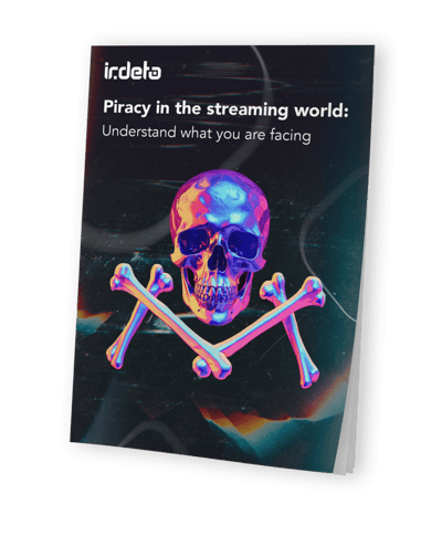 ebook_piracy_streaming_mockup-844x1024